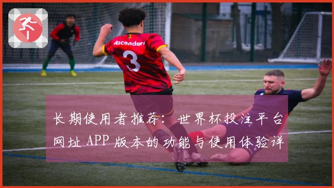 长期使用者推荐：世界杯投注平台网址 APP 版本的功能与使用体验详解