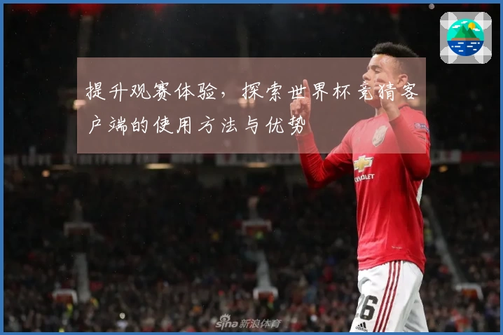 提升观赛体验,探索世界杯竞猜客户端的使用方法与优势