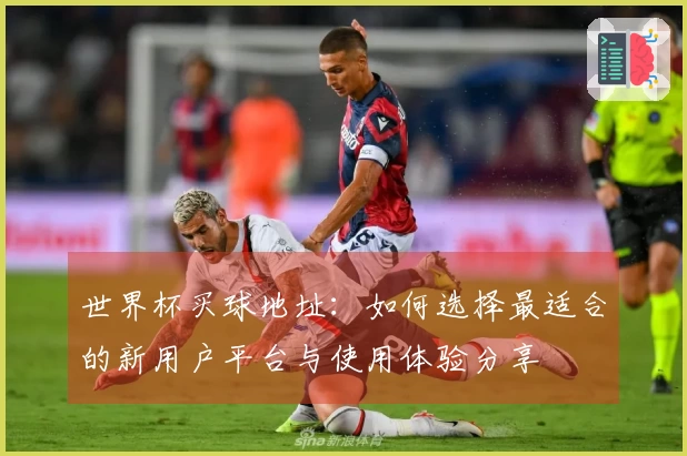 世界杯买球地址：如何选择最适合的新用户平台与使用体验分享