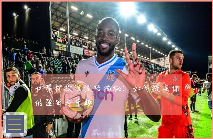 世界杯投注技巧揭秘：如何提高你的盈率与乐趣