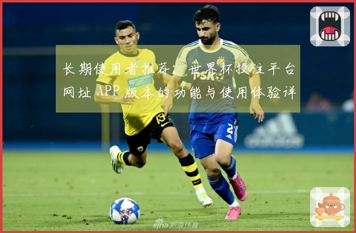 长期使用者推荐：世界杯投注平台网址 APP 版本的功能与使用体验详解