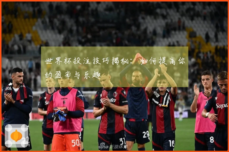 世界杯投注技巧揭秘：如何提高你的盈率与乐趣