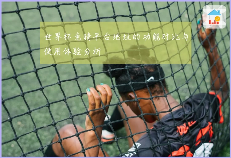 世界杯竞猜平台地址的功能对比与使用体验分析