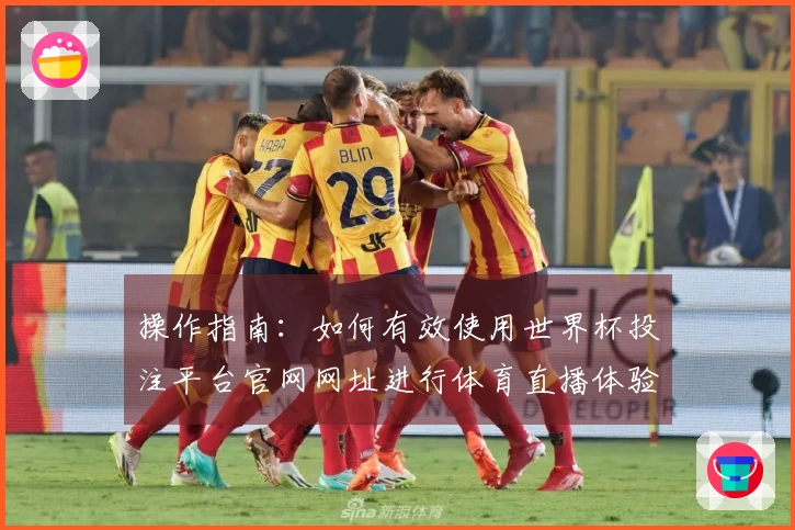 操作指南：如何有效使用世界杯投注平台官网网址进行体育直播体验