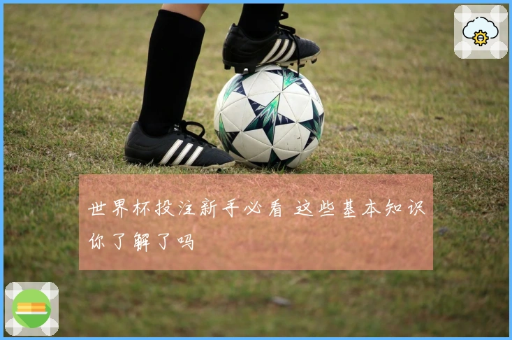 世界杯投注新手必看 这些基本知识你了解了吗