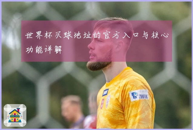 世界杯买球地址的官方入口与核心功能详解