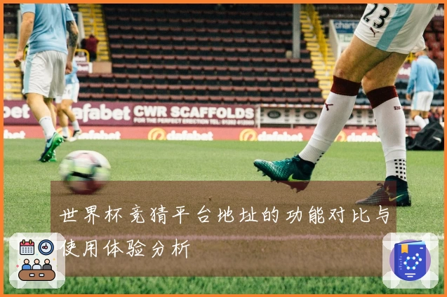 世界杯竞猜平台地址的功能对比与使用体验分析