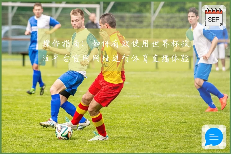 操作指南：如何有效使用世界杯投注平台官网网址进行体育直播体验